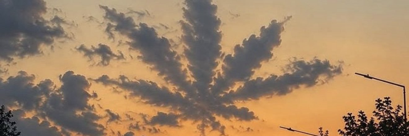 StyxBitch's profile banner image