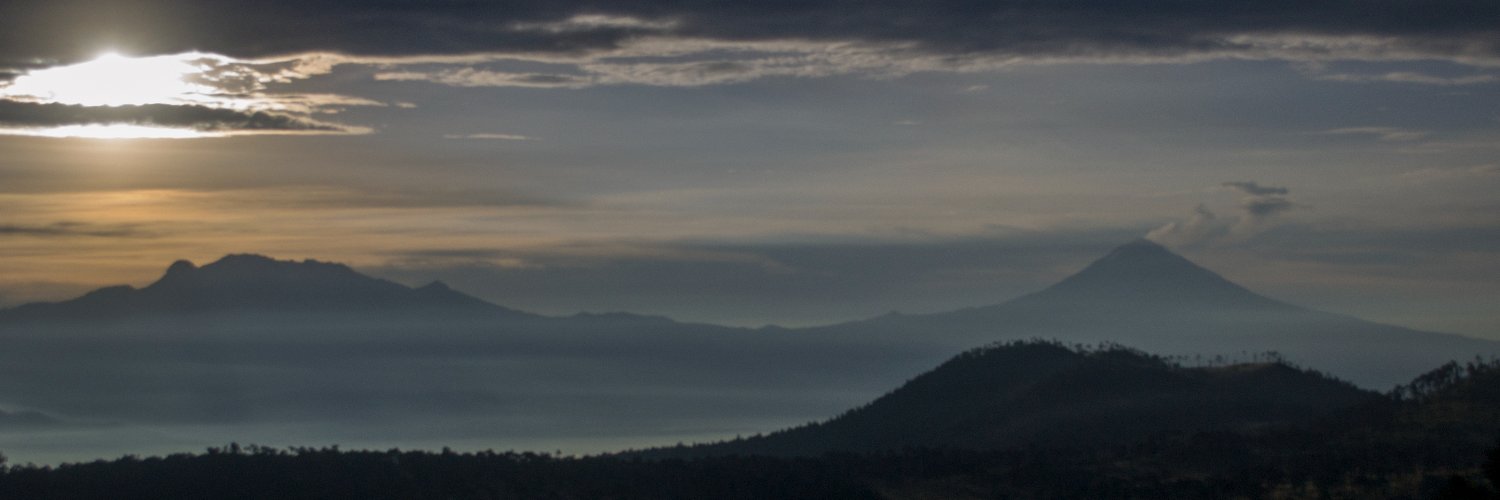 andrestowsky's profile banner image