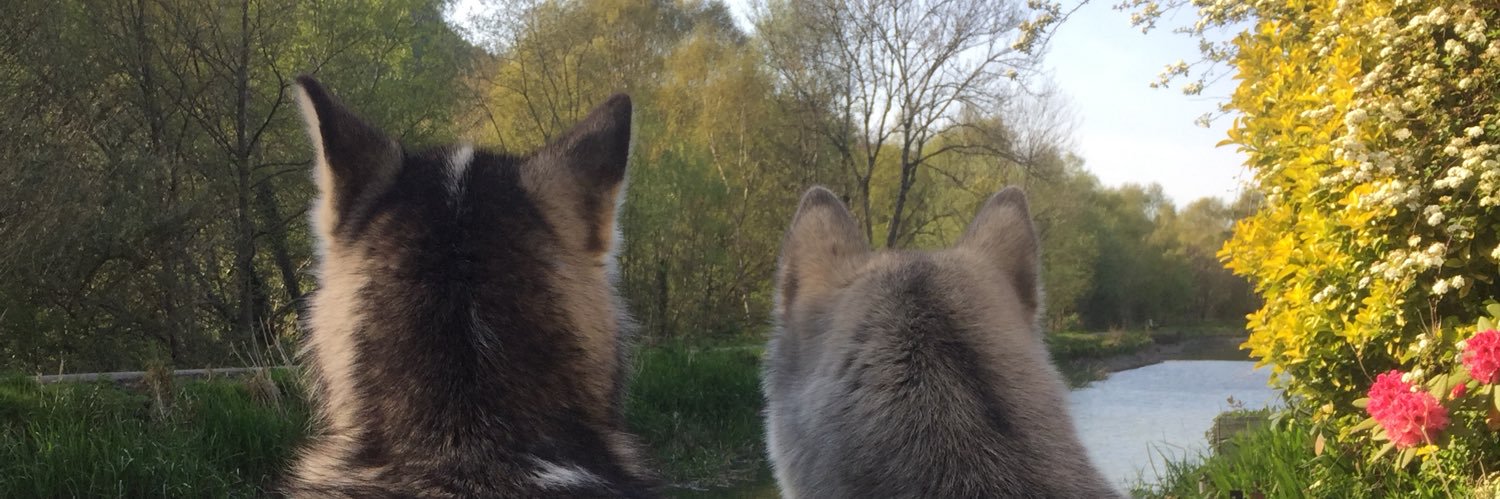 Ceri Roberts RN BSc MSc 🌈 banner