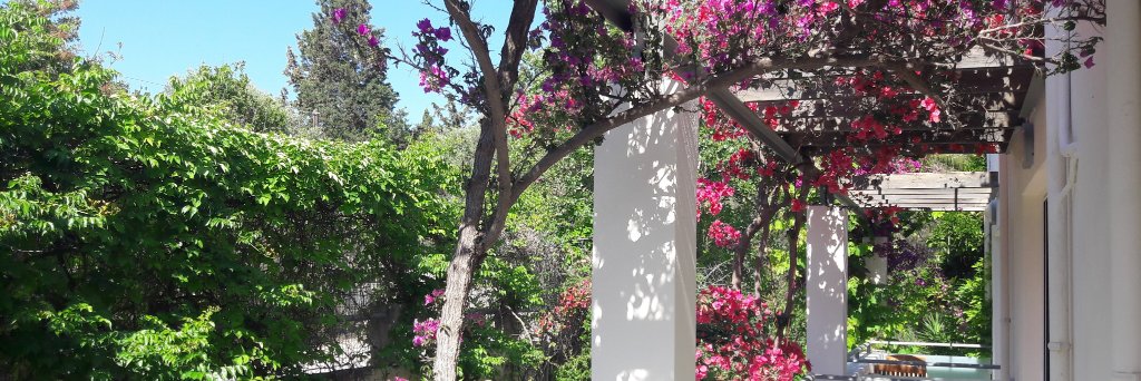 Steph Edwards banner