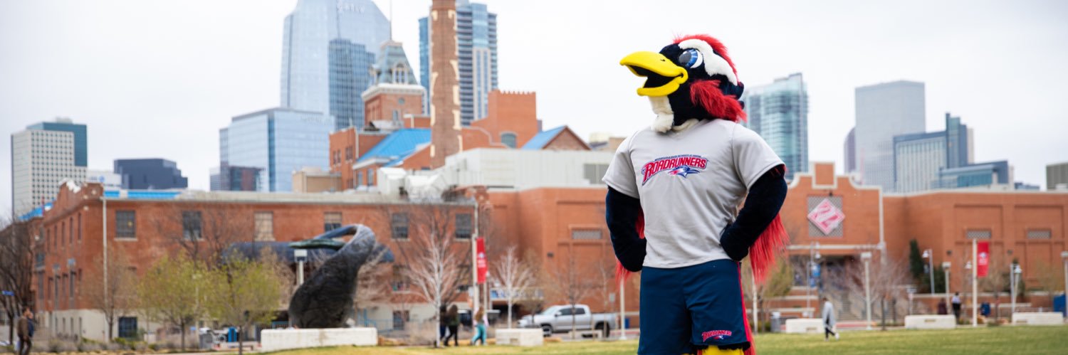 MSUDenverRowdy's profile banner image