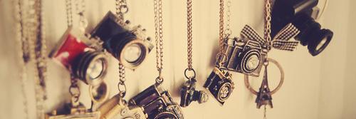 MegaFrecylia's profile banner image