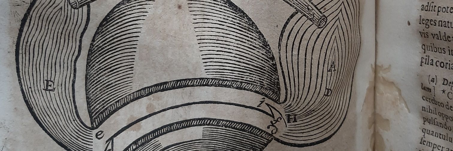 Andrés A. Ponce M.D., Ph.D. banner