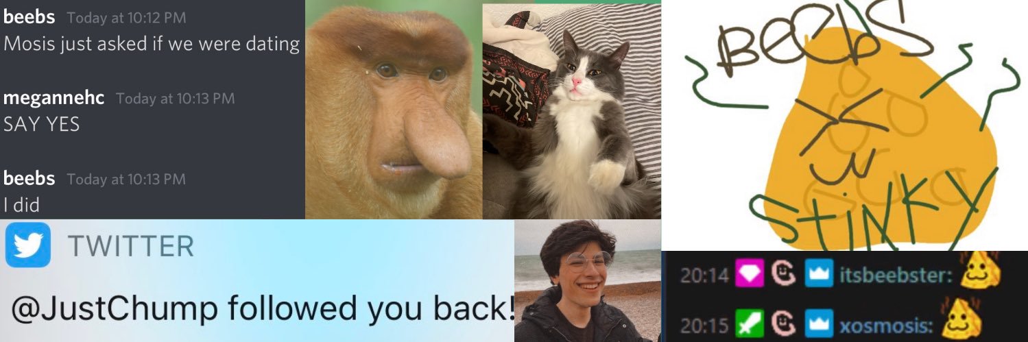 itsbeebster's profile banner image