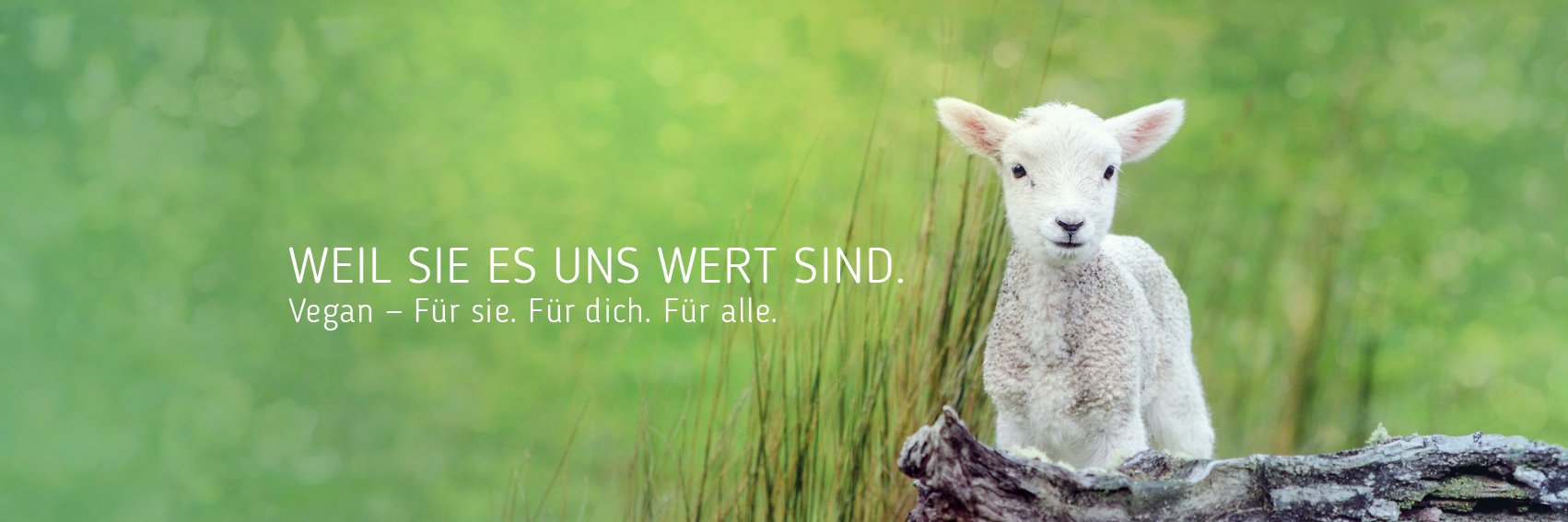 vegan_ch's profile banner image