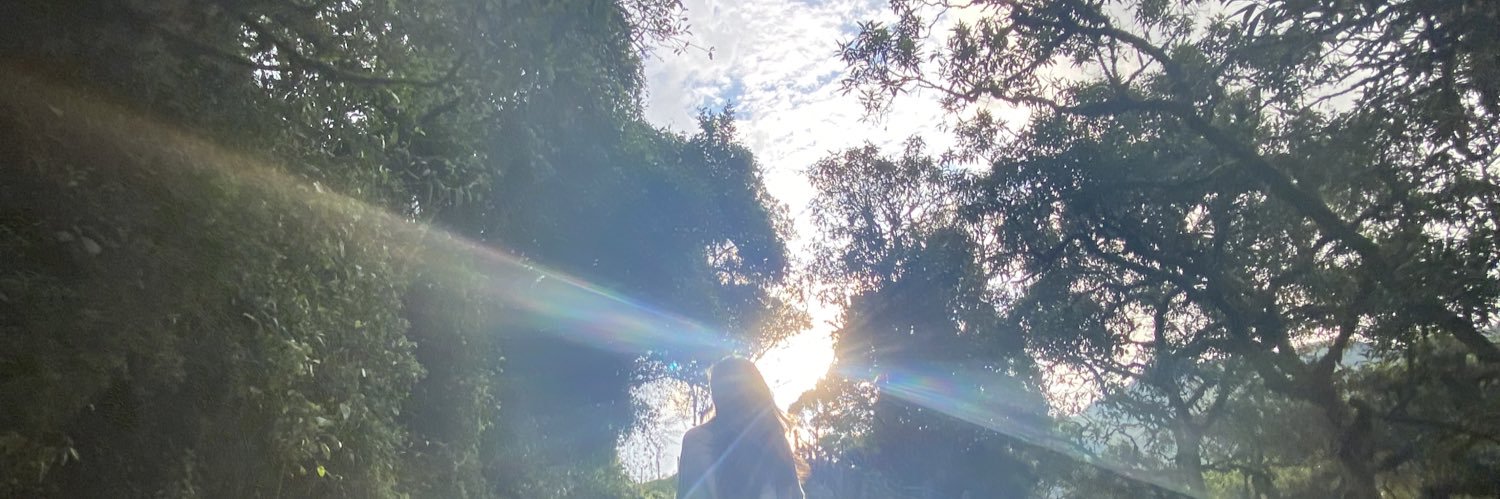 SER_1505's profile banner image