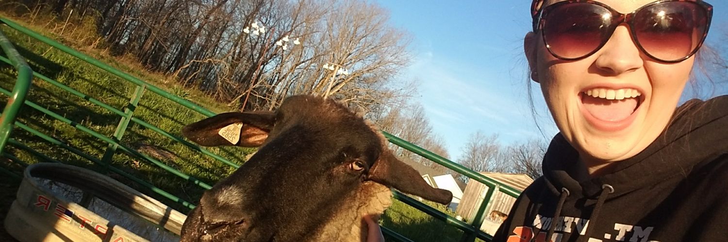lisserbeth94's profile banner image