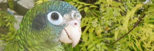 Kmcheko's profile banner image