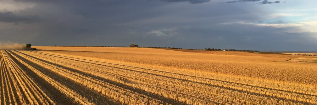 Mingenew Irwin Group banner