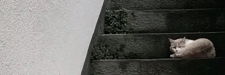 ⤿ Alurra ❞ : Vol.II of Ms ⸒ 𑁍 홍. banner