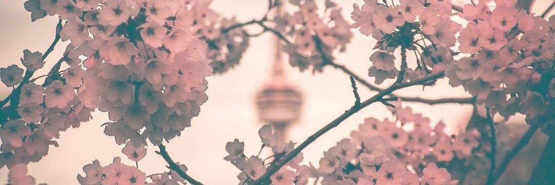 samm_Ce's profile banner image