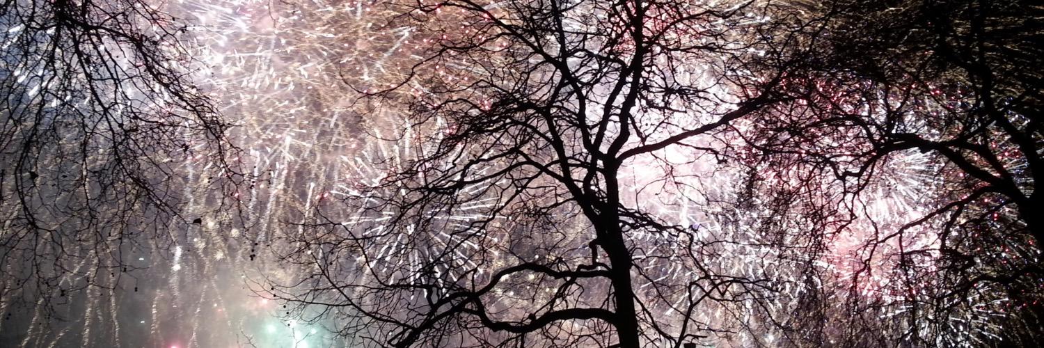 alinasView's profile banner image
