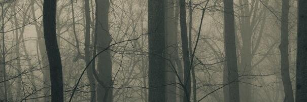GibanPage's profile banner image