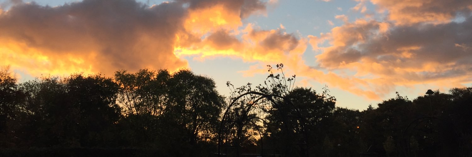 jonmarklee's profile banner image
