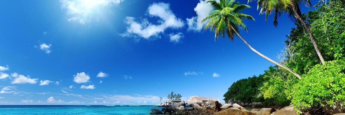 L28Albert's profile banner image