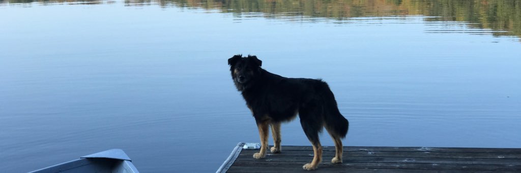 megcunerty's profile banner image