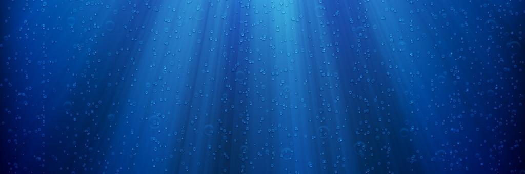 Rackfish banner