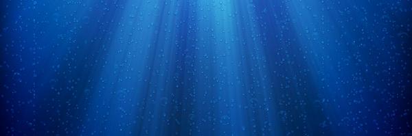 rackfish Profile Banner