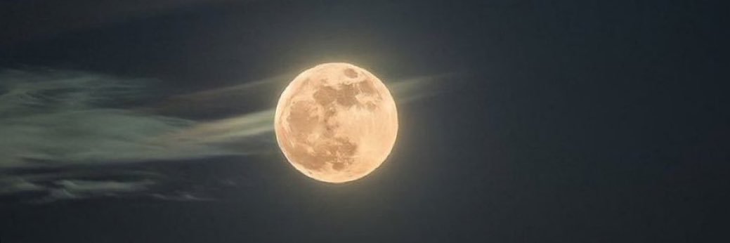 Mnt484's profile banner image