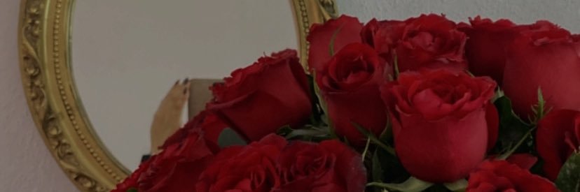 ditonix's profile banner image