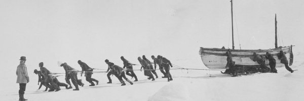 ipetitz Profile Banner