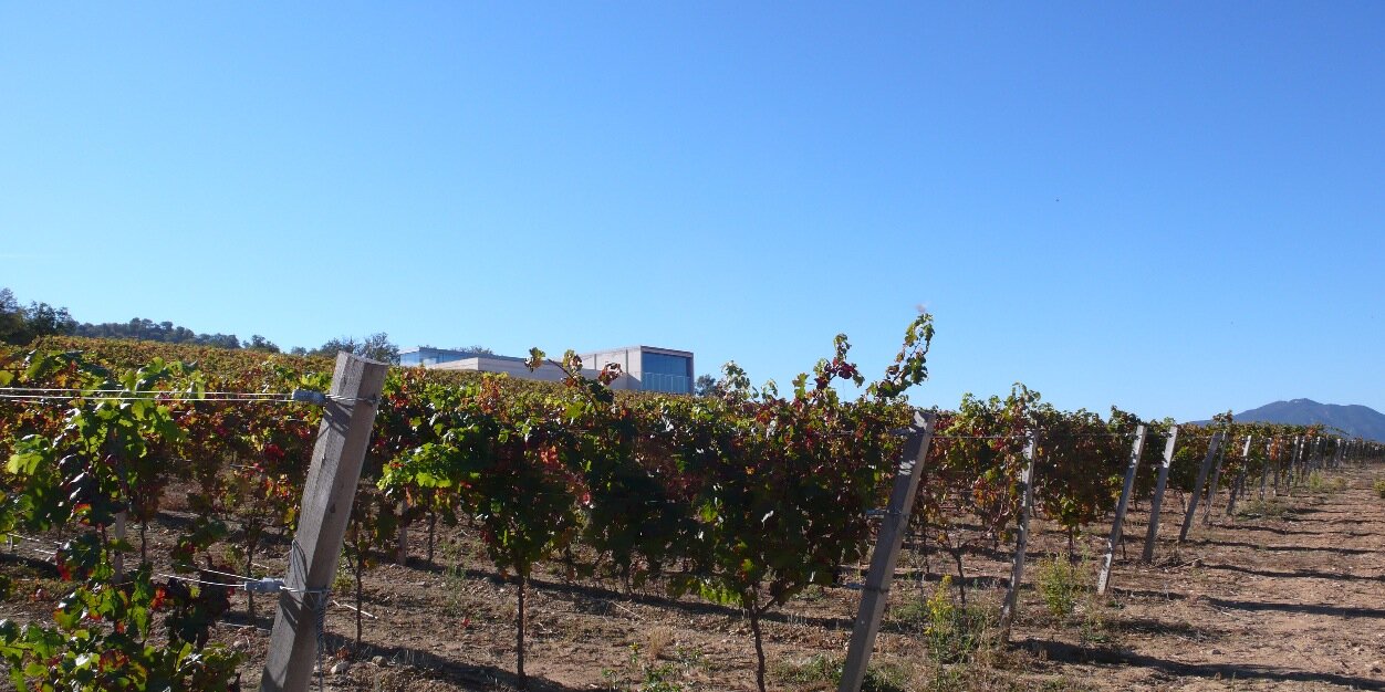 Bodega TANDEM banner