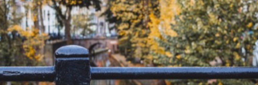 Judithbogaard's profile banner image