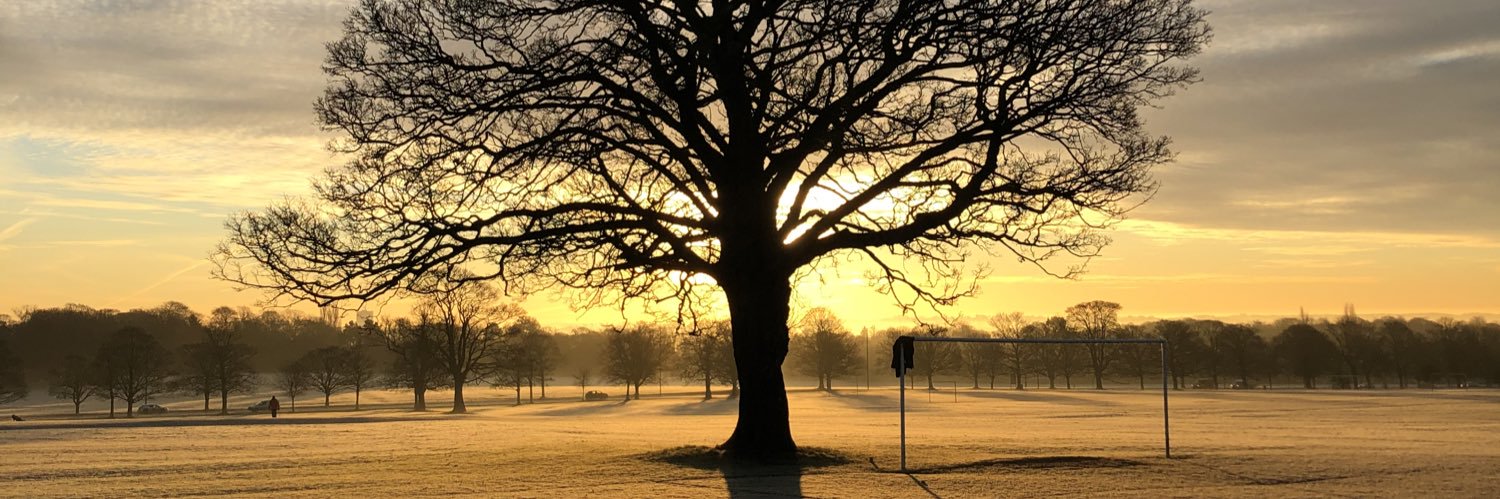 Mark_Hollander's profile banner image