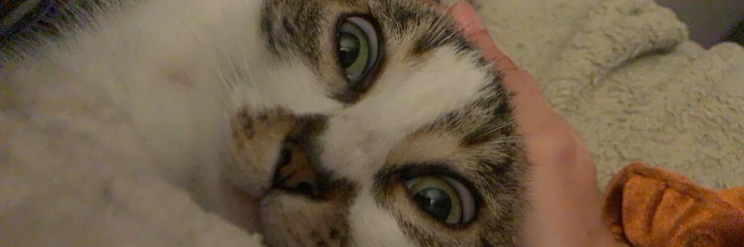 Sarshyy_'s profile banner image
