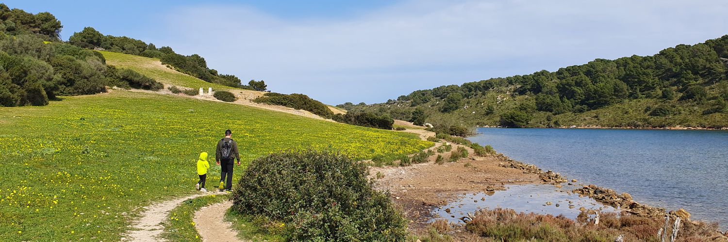 martafebrer's profile banner image