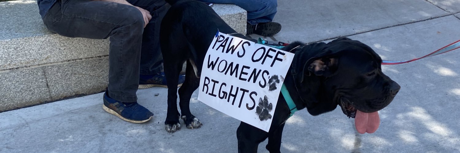 kady thompson banner