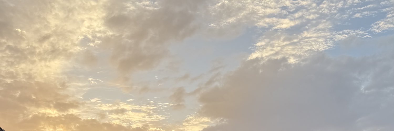 hnymmf's profile banner image