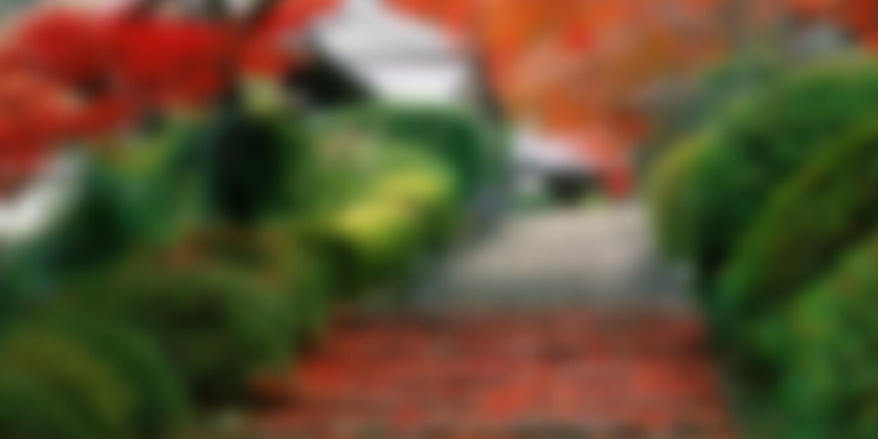 siruwiaPL's profile banner image