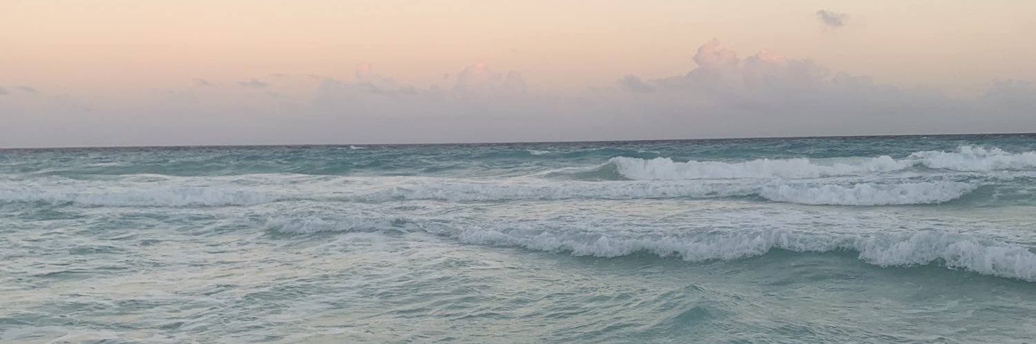 traceytly's profile banner image
