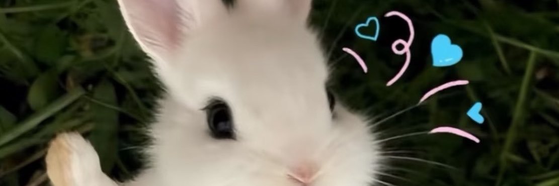 mmjsqg's profile banner image