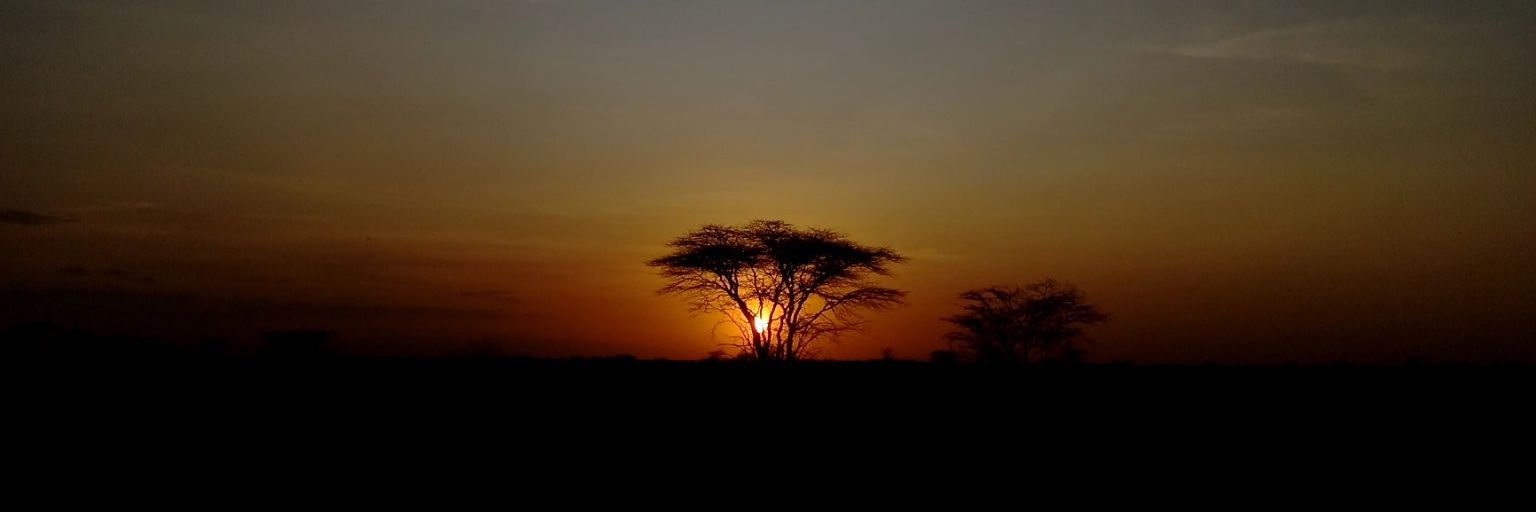 SpycyKandy's profile banner image