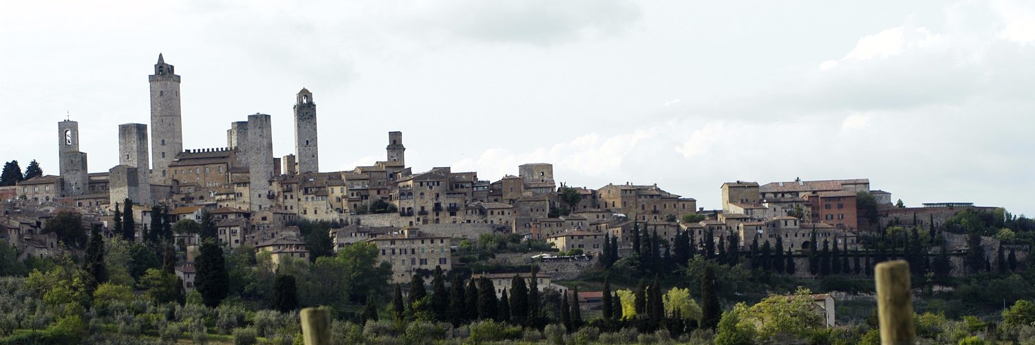 Consorzio Vernaccia banner
