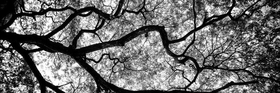nash1829's profile banner image