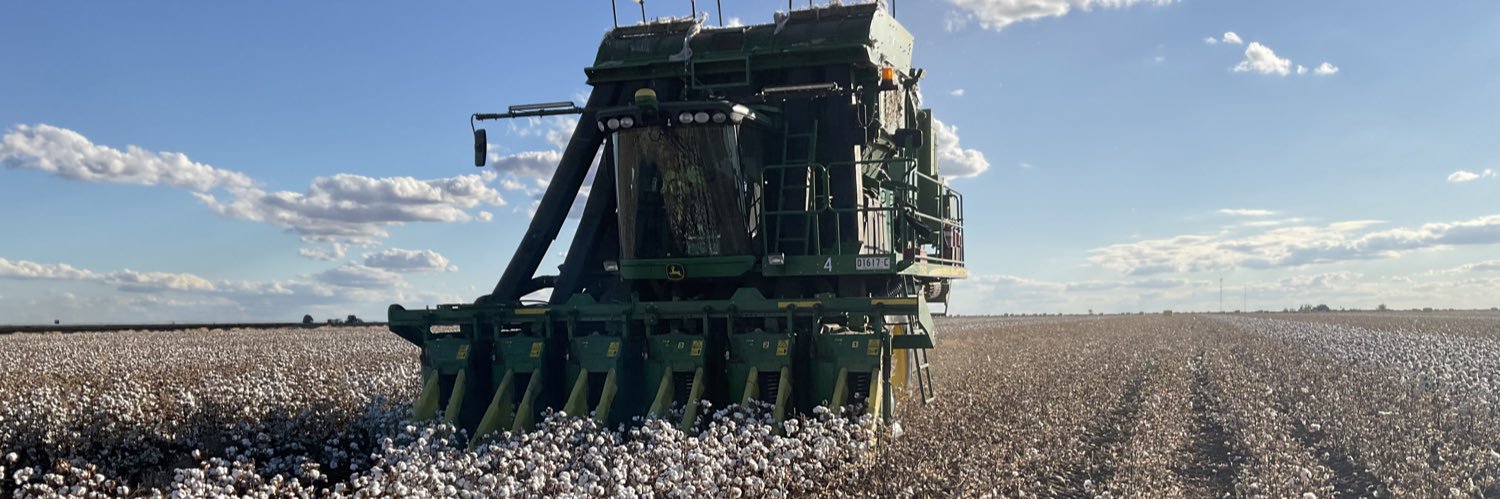 Liam Whitbourne banner