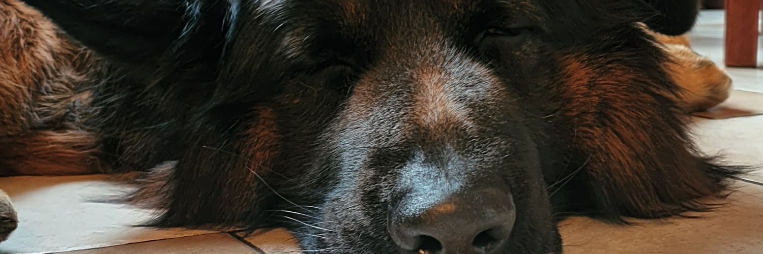macieekjou's profile banner image