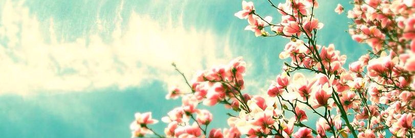 LKevo's profile banner image