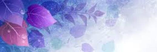 bellachrtn's profile banner image