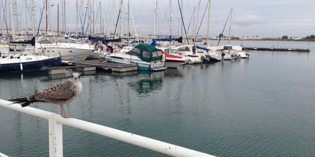 Fermín Cabanillas banner