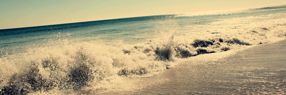 Kat 🏳️‍🌈 banner