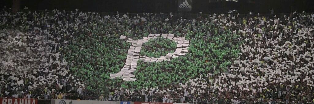 edymadureira's profile banner image