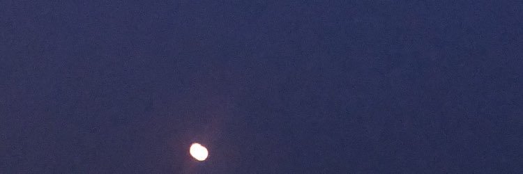 nievesrojo7's profile banner image