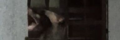 Shades.NYAN🔫😼 banner