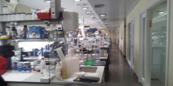 Hepatic Hemodynamic banner