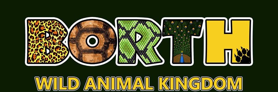 BorthZoo's profile banner image
