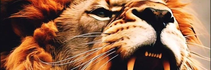 SoloilMCMV's profile banner image